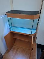 Juwel 120l met kast!, Dieren en Toebehoren, Vissen | Aquaria en Toebehoren, Ophalen, Gebruikt, Leeg aquarium
