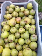 Biologische Brederode stoofperen, schone fruitteelt, Ophalen