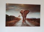 glasschilderij olifant en leeuwen 120 x 80, Huis en Inrichting, Woonaccessoires | Schilderijen, Tekeningen en Foto's, Schilderij