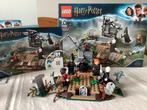 Zgan LEGO Harry Potter De Opkomst van Voldemort - 75965, Ophalen, Zo goed als nieuw, Complete set, Lego