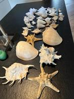 Schelpen, Ophalen of Verzenden, Zo goed als nieuw