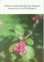 K7021 Ongelopen ansichtkaart velen worden benijd omdat gene, Verzamelen, Ophalen of Verzenden, 1980 tot heden, Ongelopen