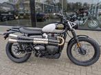 Triumph Scrambler 900 Icon Edition (bj 2025), Motoren, Bedrijf, 900 cc, Meer dan 35 kW, Toermotor