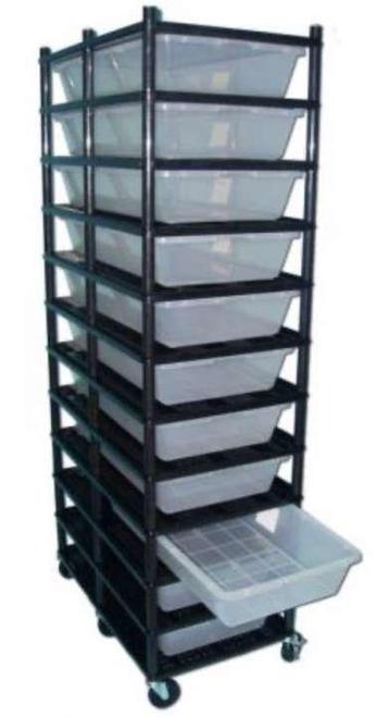 V70 Vision Ball Python/Python regius rack beschikbaar voor biedingen