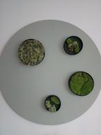 4 Mosschilderijtjes - Groen in huis/kantoor, Ophalen, Nieuw