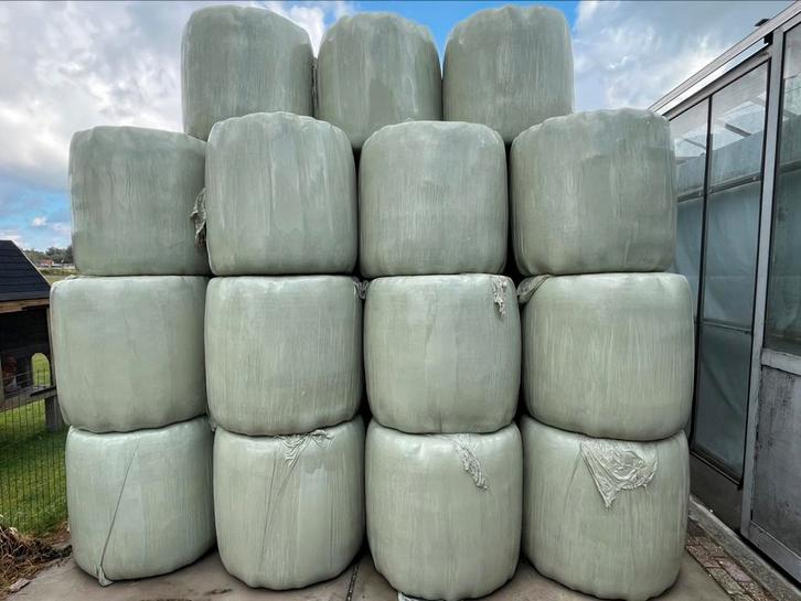 Midibalen voordroog (1e snede), Dieren en Toebehoren, Dierenvoeding, Vee, Ophalen