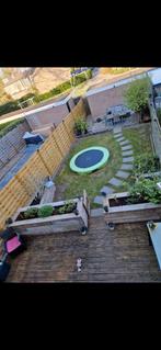 gratis trampoline,planten en bomen+terras zelf uit te halen, Tuin en Terras, Planten | Bomen, Zomer, Overige soorten, Ophalen