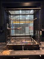 Vogelkooi, Ophalen, Zo goed als nieuw, Metaal, Vogelkooi