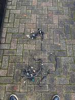 Vespa LX Kabelboom - Ongeknipt!, Ophalen of Verzenden, Gebruikt, Overige automerken