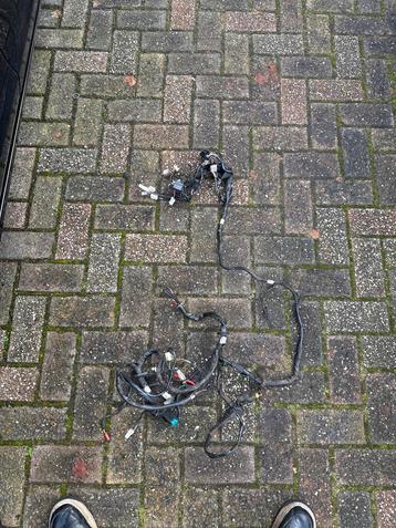 Vespa LX Kabelboom - Ongeknipt! beschikbaar voor biedingen