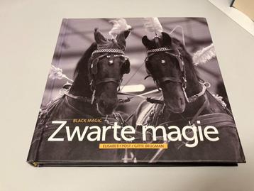 Zwarte magie Black Magic Friese Paarden beschikbaar voor biedingen