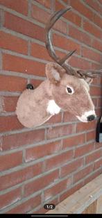 Super mooie zachte hertenkop, Ophalen of Verzenden, Zo goed als nieuw, Beeldje of Figuurtje