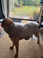 Honden regenjas, Ophalen of Verzenden, Zo goed als nieuw