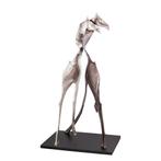 PTMD Deco Object Skye - 92x60x170 cm - Aluminium - Zwart, Ophalen of Verzenden