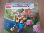 Lego Minecraft 21117 - Compleet met doos en boekje!, Kinderen en Baby's, Speelgoed | Duplo en Lego, Ophalen of Verzenden, Zo goed als nieuw