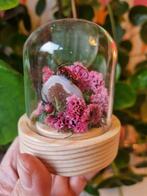 Insect in Stolpje - Agaat, Droogbloemen - Handgemaakt, Ophalen of Verzenden