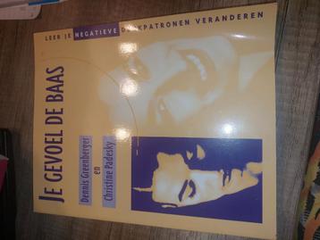 Dennis Greenberger - Je gevoel de baas beschikbaar voor biedingen