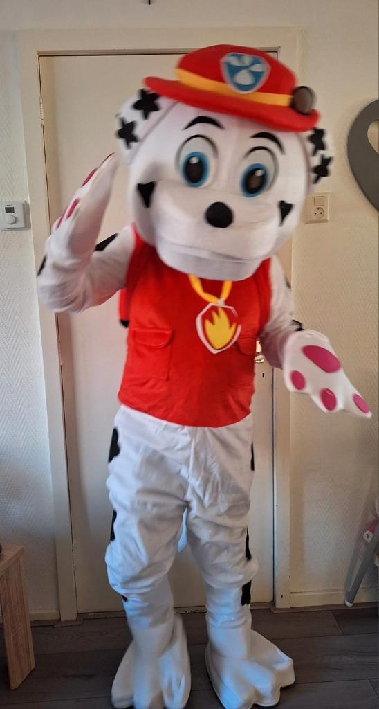 Paw Patrol Marshall  en bing Pak te huur, Kleding | Dames, Carnavalskleding en Feestkleding, Zo goed als nieuw, Kleding, Overige thema's