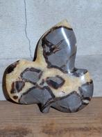 Septarie drakensteen blad bladeren gepolijst edelsteen, Verzamelen, Ophalen of Verzenden, Mineraal