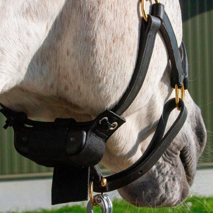 birthalarm geboortemelder te huur, Dieren en Toebehoren, Paarden en Pony's | Overige Paardenspullen, Zo goed als nieuw, Dressuur