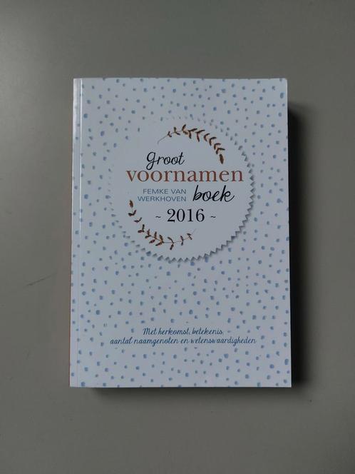 Boek: Femke van Werkhoven - groot voornamen boek, Boeken, Zwangerschap en Opvoeding, Zo goed als nieuw, Zwangerschap en Bevalling