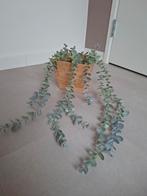 Leuk plantenpotje inclusief eucalyptus Ikea, Tuin en Terras, Overige materialen, Vierkant, Ophalen of Verzenden, Zo goed als nieuw