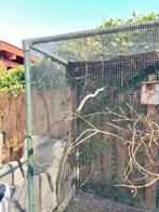 Volieregaas en eventueel buizen met hulpstukken, Ophalen of Verzenden, Gebruikt, Kooi-accessoires