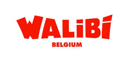 Walibi Belgium, Eén persoon, Ticket of Toegangskaart