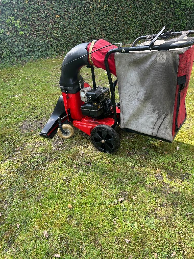 grote bladzuiger, Tuin en Terras, Ophalen, Benzine, Gebruikt, Met opvangzak
