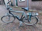 Herenfiets Gazelle Medeo - Prima Staat, Ophalen, Gebruikt, Versnellingen, Gazelle
