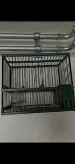 Kliene kooi, Ophalen of Verzenden, Zo goed als nieuw, Hout, Vogelkooi