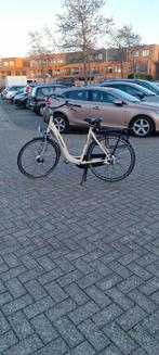 Azor damesfiets, Ophalen, Gebruikt, Overige merken