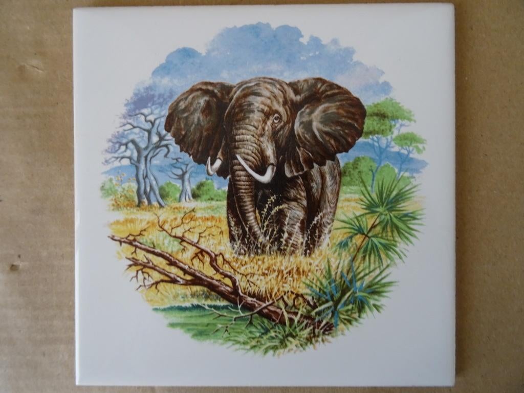Curiosa vintage tegel met olifant aardewerk tegel olifant, Ophalen of Verzenden