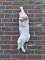 Betonnen muur kat, Ophalen