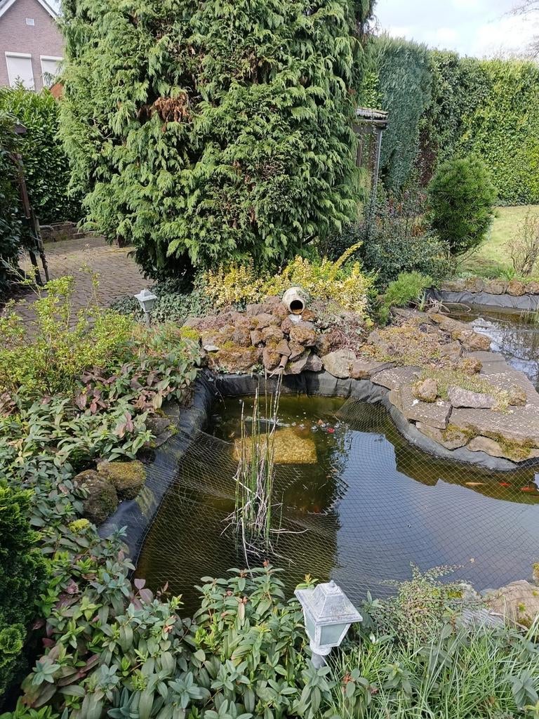 Vijver stenen gratis op te halen, Tuin en Terras, Vijvers, Ophalen of Verzenden, Gebruikt