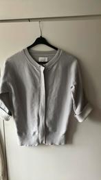 Yaya. Lichtgrijs vestje met ritssluiting. Korte mouwen. XS, Ophalen of Verzenden, Zo goed als nieuw, Maat 34 (XS) of kleiner, Grijs