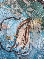 Graskarper 25-30 cm desgewenst bezorgd aan huis, Karper of Koi