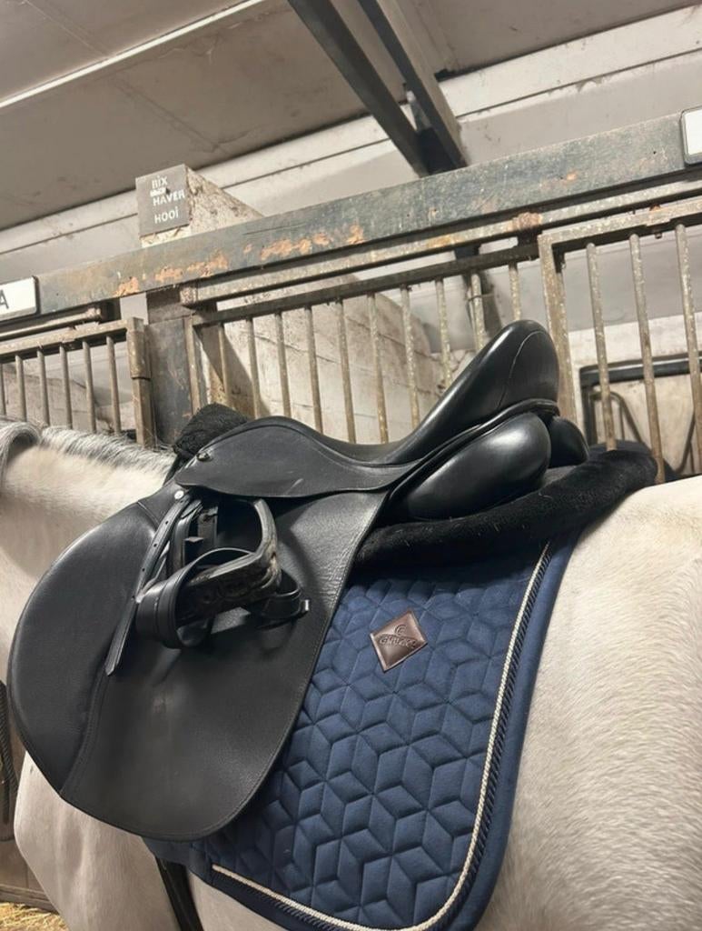 Waldhausen veelzijdigheidszadel 16,5 inch, Dieren en Toebehoren, Paarden en Pony's | Zadels, Ophalen