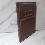 Ds. C. de Ridder: Dit is de weg, wandelt in denzelven, Ophalen of Verzenden, Gelezen, Christendom | Protestants