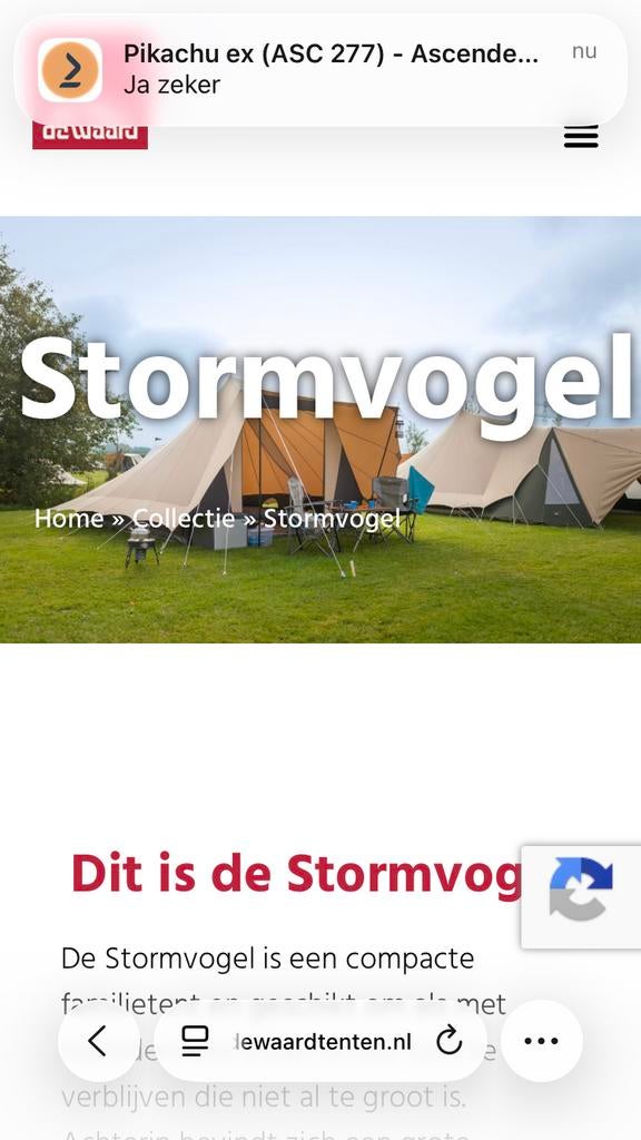 De Waard Stormvogel tent met veel extra's, Caravans en Kamperen, Tenten, tot en met 4, Gebruikt, Ophalen