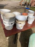 Drinkbakken postduiven, Ophalen of Verzenden, Gebruikt