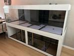(Moet weg) Aquarium 250x80x80 (groot/zwaar aquarium), Ophalen, Gebruikt, Overige merken, Inclusief deksel