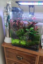 Nano aquarium 30 liter dennerle + toebehoren, Dieren en Toebehoren, Vissen | Aquaria en Toebehoren, Ophalen of Verzenden