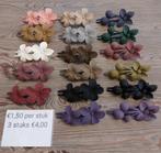 Div haar clips nieuw, Ophalen of Verzenden, Nieuw, Haarspeld