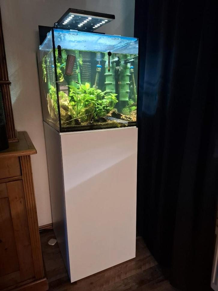 Aqua Medic Qubicus Qube + kast incl Crystal Red Garnalen, Dieren en Toebehoren, Vissen | Aquaria en Toebehoren, Gebruikt, Gevuld zoetwateraquarium