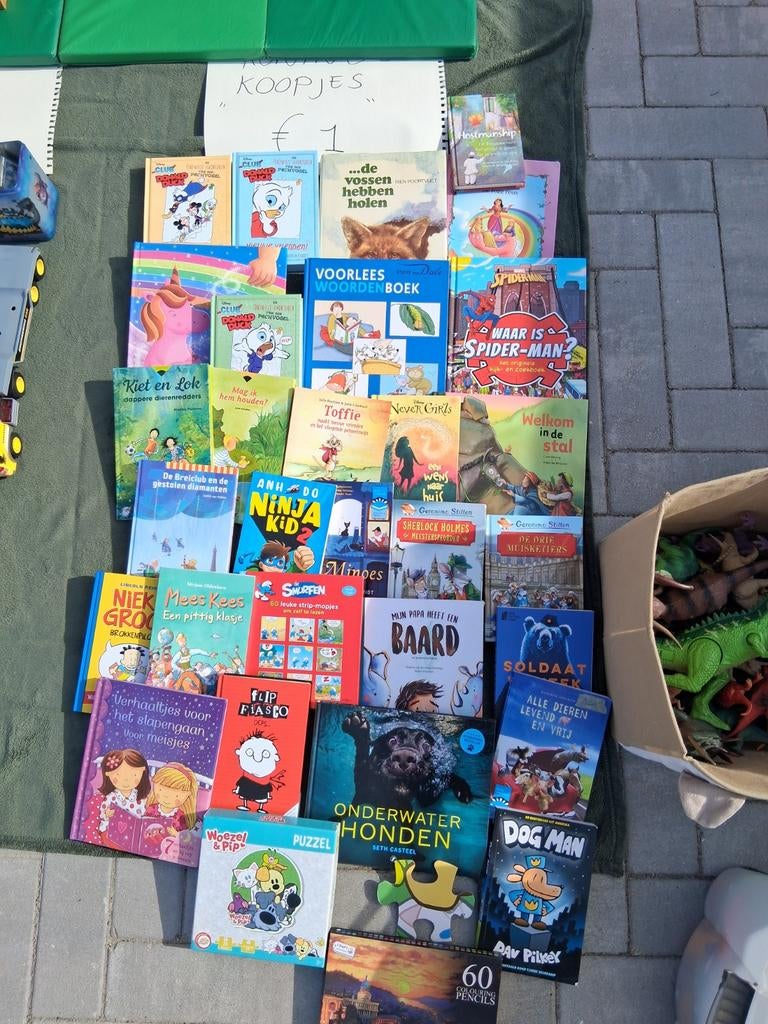 Leuke spullen: Pokémon, PS4, verkleedkleding, boeken & meer!, Ophalen of Verzenden