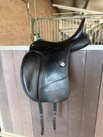 Zeer nette bates isabel werth, Ophalen of Verzenden, Zo goed als nieuw, Dressuur
