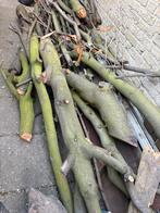 Gratis hout, Tuin en Terras, Haardhout, Minder dan 3 m³, Ophalen