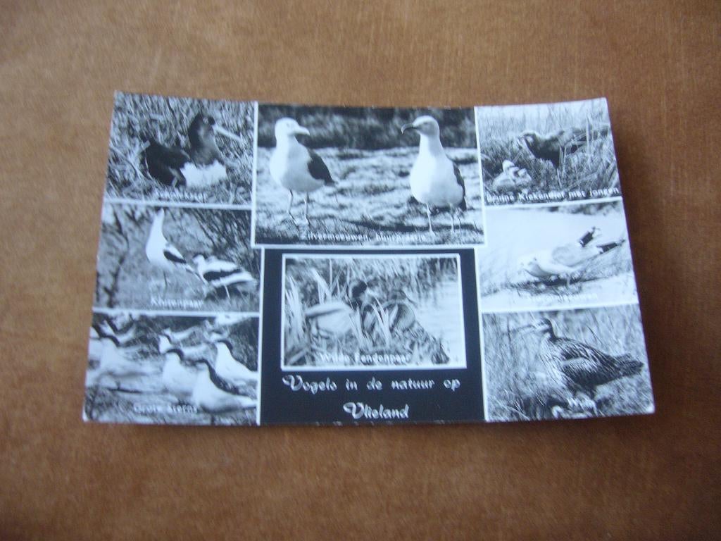 VLIELAND  =  8 LUIK, Ophalen of Verzenden, 1940 tot 1960, Gelopen, Waddeneilanden