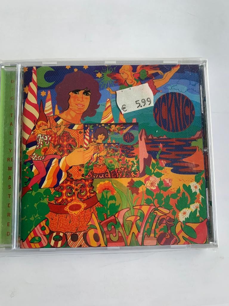 Boudewijn de Groot - Picknick ( cd, Rem.), Cd's en Dvd's, Verzenden, Zo goed als nieuw, Pop